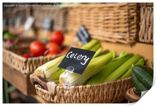 For Celery Print by Ross Cameron