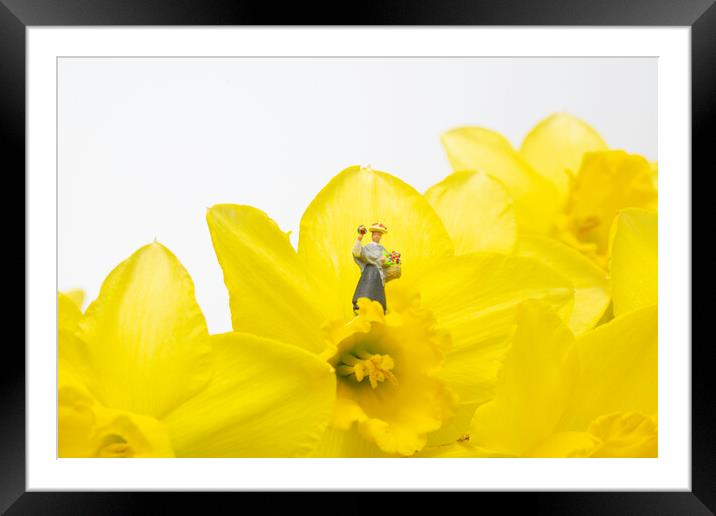 The Flower Lady With Daffodils 1 Framed Mounted Print by Steve Purnell