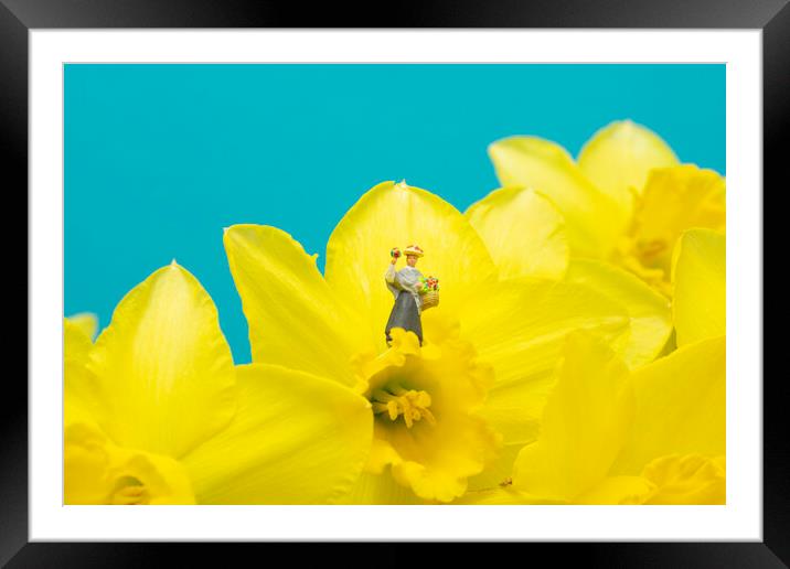 The Flower Lady With Daffodils 2 Framed Mounted Print by Steve Purnell
