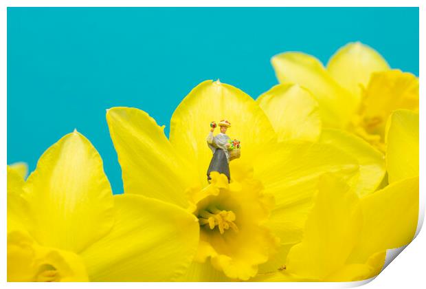 The Flower Lady With Daffodils 2 Print by Steve Purnell