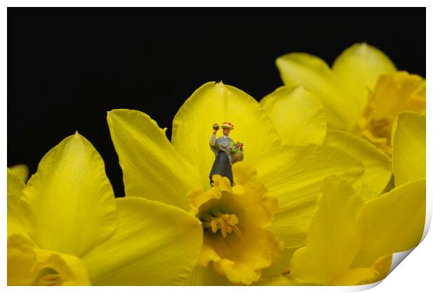 The Flower Lady With Daffodils 3 Print by Steve Purnell