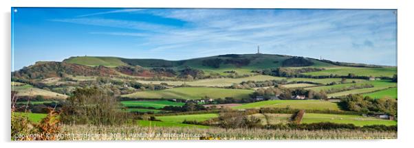 Stenbury Down Isle Of Wight Acrylic by Wight Landscapes