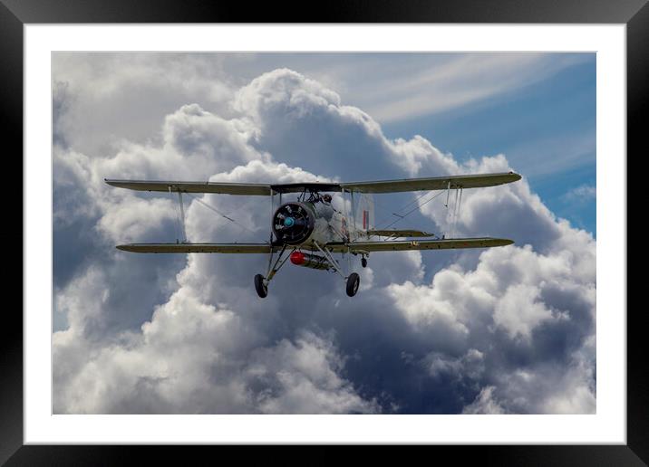 Royal Navy Swordfish 2 Framed Mounted Print by Oxon Images