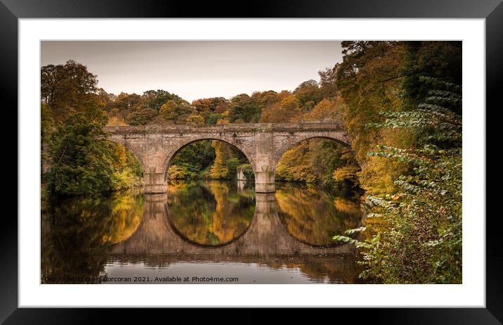 Autumn Calm  Framed Mounted Print by Greg Corcoran