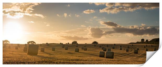 Outdoor field Print by Greg Corcoran