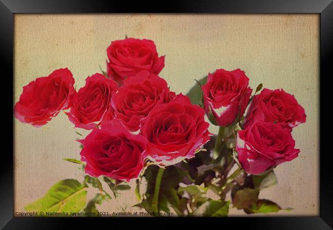 Red roses! Framed Print by Nadeesha Jayamanne