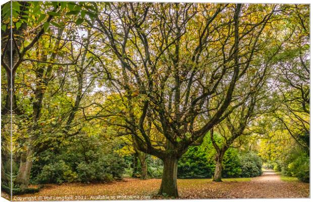 Autumnal colours in a Liverpool Park  Canvas Print by Phil Longfoot