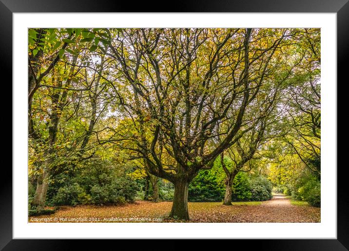 Autumnal colours in a Liverpool Park  Framed Mounted Print by Phil Longfoot
