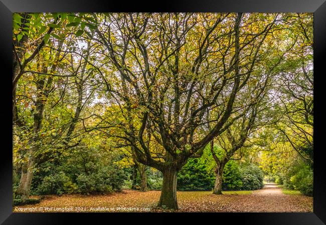 Autumnal colours in a Liverpool Park  Framed Print by Phil Longfoot