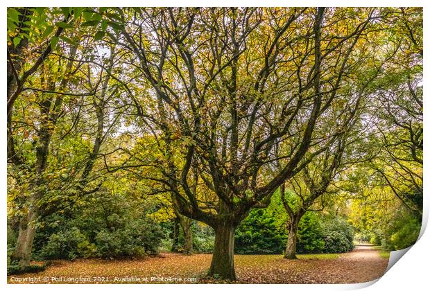 Autumnal colours in a Liverpool Park  Print by Phil Longfoot
