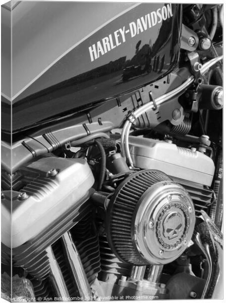 Harley Davidson motorbike engine Canvas Print by Ann Biddlecombe