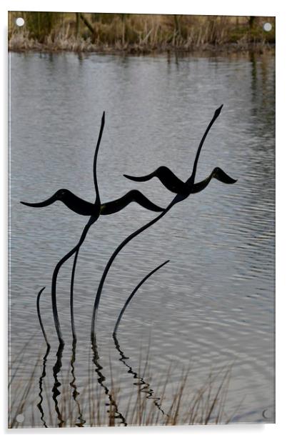 Swan Sculpture Acrylic by Simon Hackett