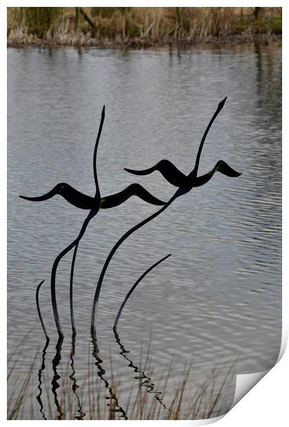 Swan Sculpture Print by Simon Hackett
