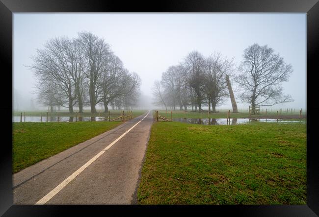 Into the fog Framed Print by Michael Brookes
