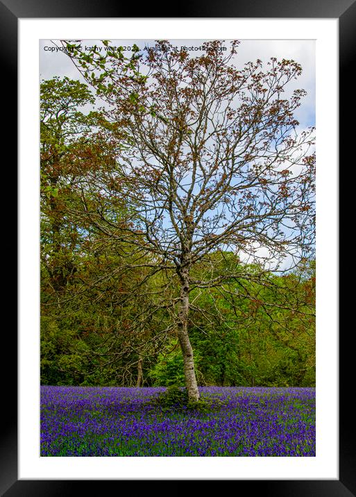Bluebell woods Cornwall mother's day Framed Mounted Print by kathy white