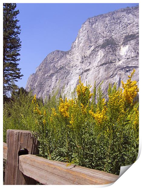 El Capitan, Yosemite National Park Print by Jay Huckins