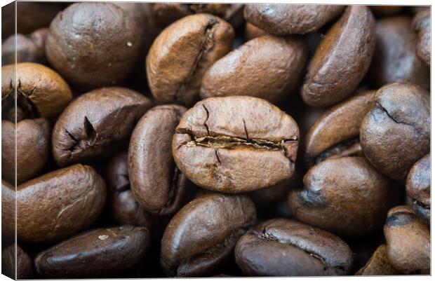 Dark roasted coffee beans ,close up Canvas Print by Emils Vanags