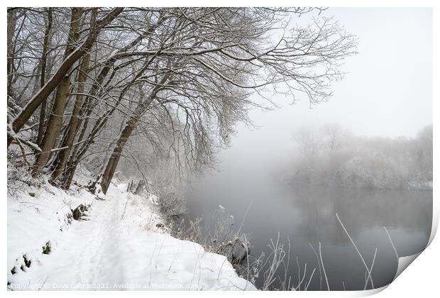 Misty reflections in the Teviot river in the Scottish Borders, UK Print by Dave Collins