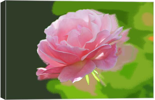 The pink rose  Canvas Print by liviu iordache