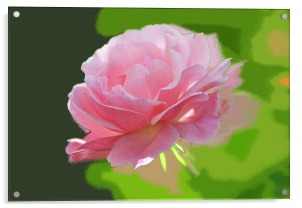 The pink rose  Acrylic by liviu iordache