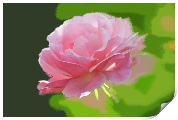 The pink rose  Print by liviu iordache