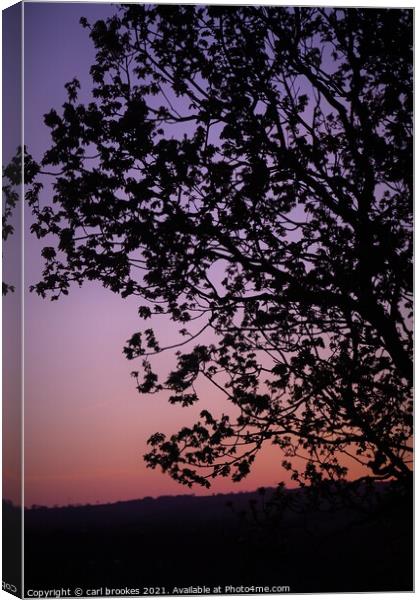 Abstract silhouette tree Canvas Print by carl brookes