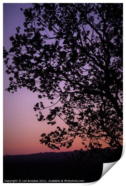 Abstract silhouette tree Print by carl brookes