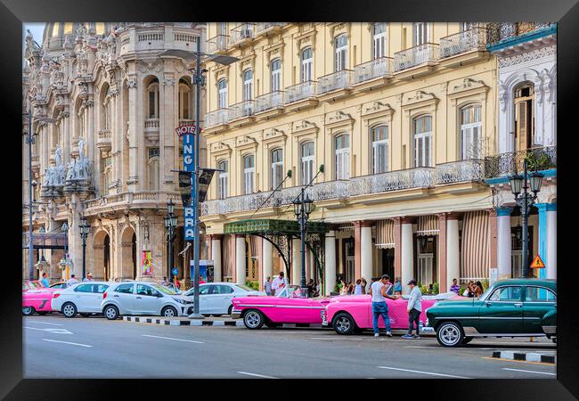 Havana Taxis Framed Print by David Hare