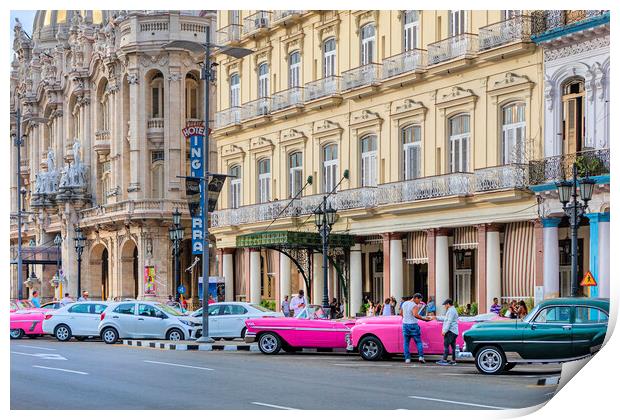 Havana Taxis Print by David Hare