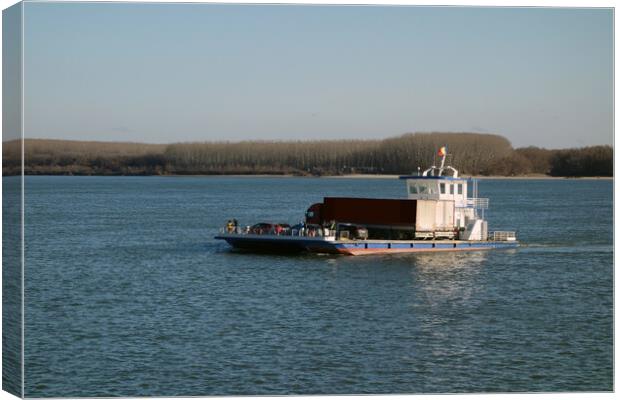ferry on the Danube  Canvas Print by liviu iordache