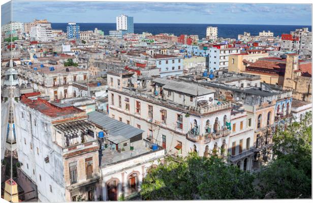 Rooftops of Havana Canvas Print by David Hare