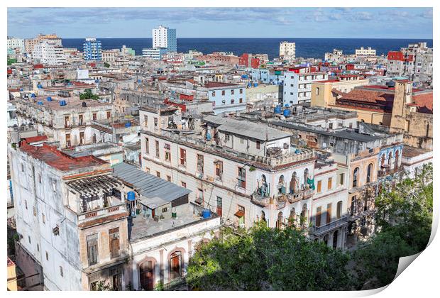 Rooftops of Havana Print by David Hare