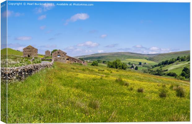 Barns and Meadow in Yorkshire Dales Countryside Canvas Print by Pearl Bucknall