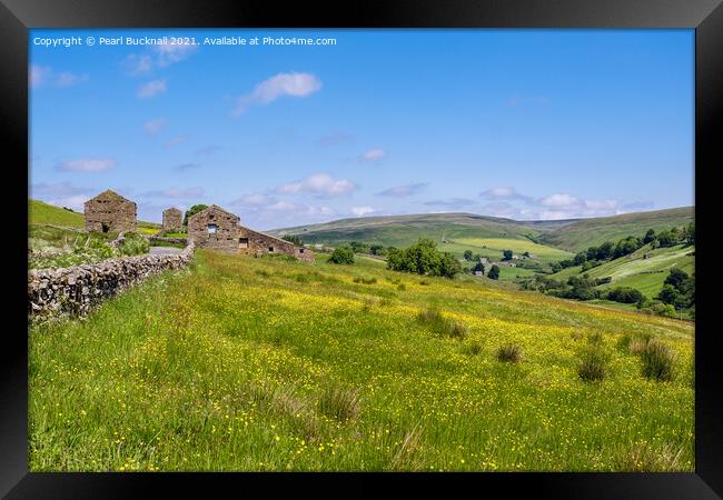 Barns and Meadow in Yorkshire Dales Countryside Framed Print by Pearl Bucknall