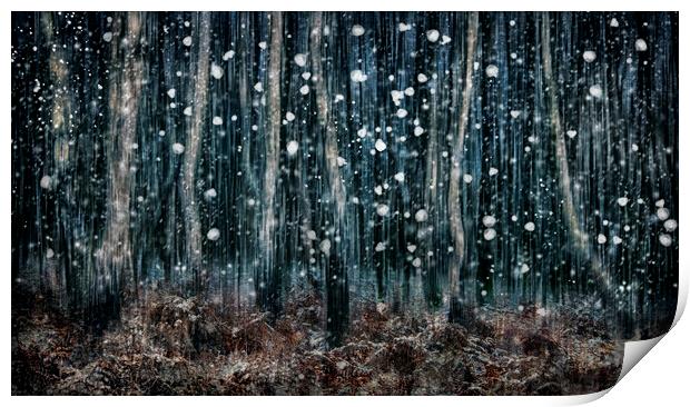Winter Woodland  Print by Judith Stewart