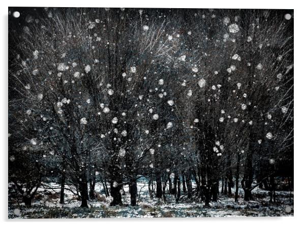 Winter Copse Acrylic by Judith Stewart