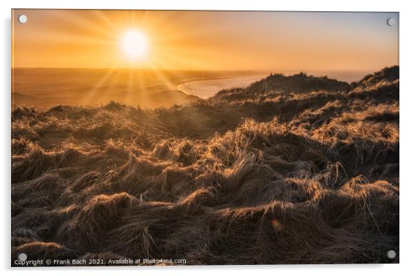 Sunset at the heather near Bulbjerg in north west Denmark Acrylic by Frank Bach