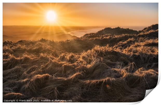Sunset at the heather near Bulbjerg in north west Denmark Print by Frank Bach