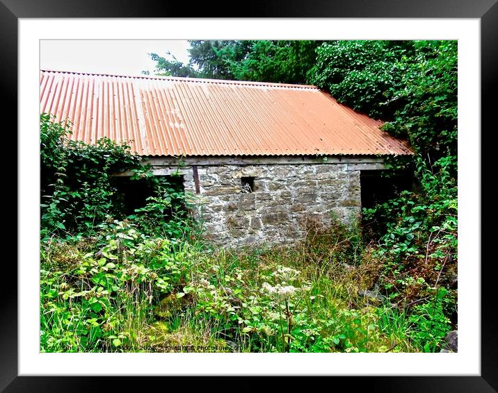 Abandoned barn Framed Mounted Print by Stephanie Moore