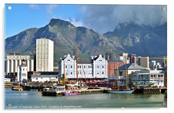 Victoria and Albert Waterfront, Cape Town Acrylic by Nathalie Hales