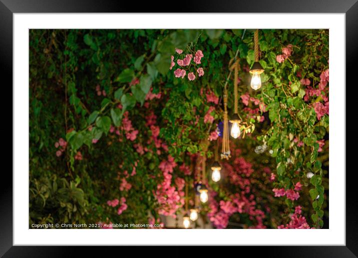 Cherry Blossom at Kalkan , Turkey. Framed Mounted Print by Chris North