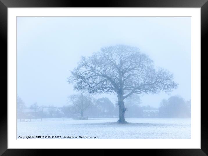 Oak tree in a snow storm 360  Framed Mounted Print by PHILIP CHALK