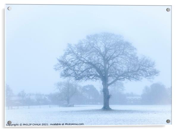 Oak tree in a snow storm 360  Acrylic by PHILIP CHALK