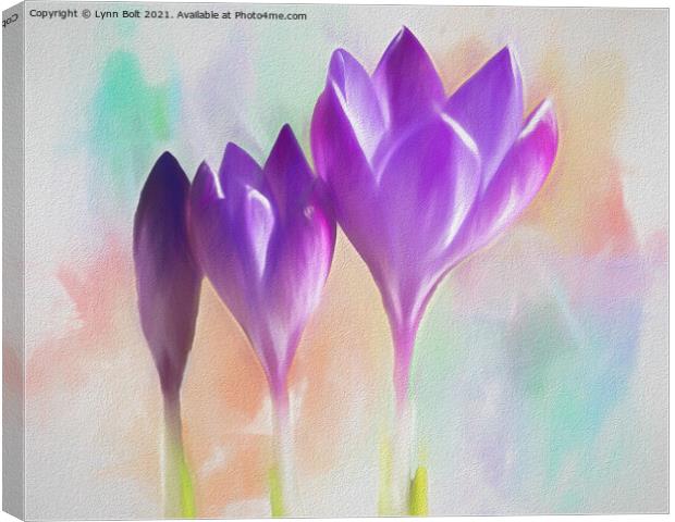 Three Crocuses Canvas Print by Lynn Bolt