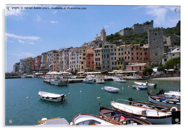 Porto Venere Harbour, Liguria Italy Acrylic by Adrian Beese
