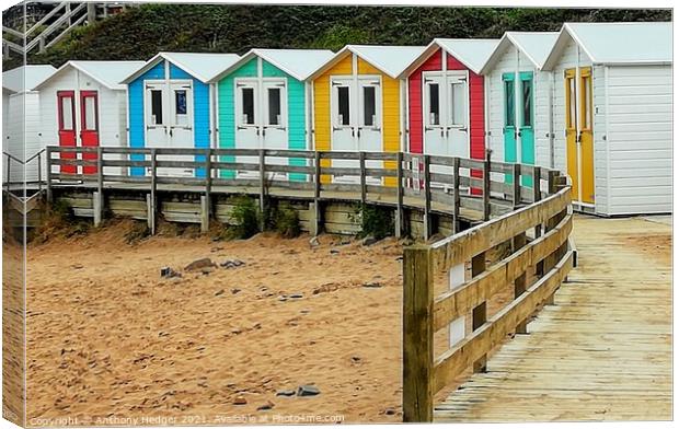 Colourful beach huts Canvas Print by Anthony Hedger