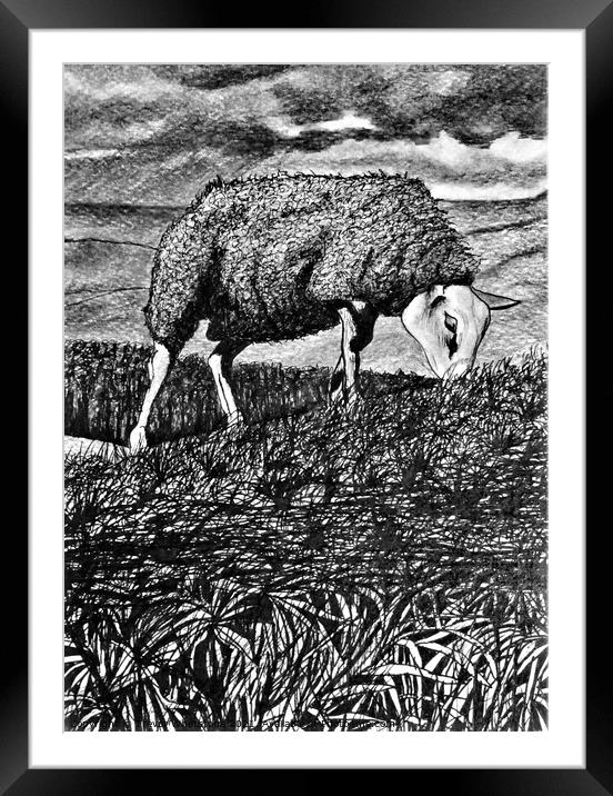 Texal Sheep In A Storm. Black & White Framed Mounted Print by Trevor Whetstone