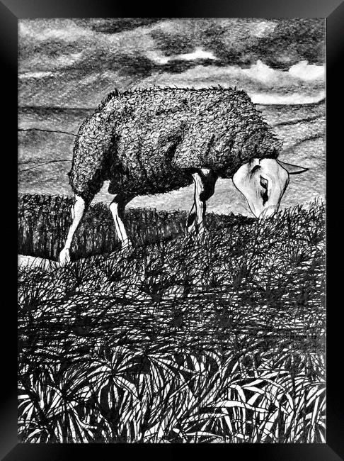 Texal Sheep In A Storm. Black & White Framed Print by Trevor Whetstone