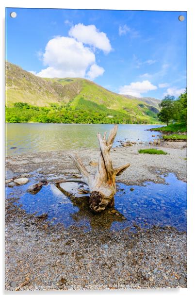 Buttermere Panorama With Driftwood Acrylic by Graham Prentice