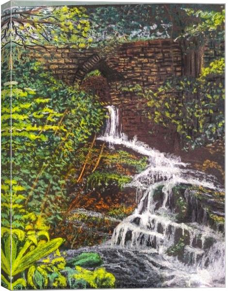 Ingleborough in the Yorkshire Dales Canvas Print by Trevor Whetstone